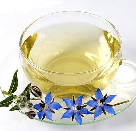 طرز تهیه دمنوش چای سبز و گل گاوزبان